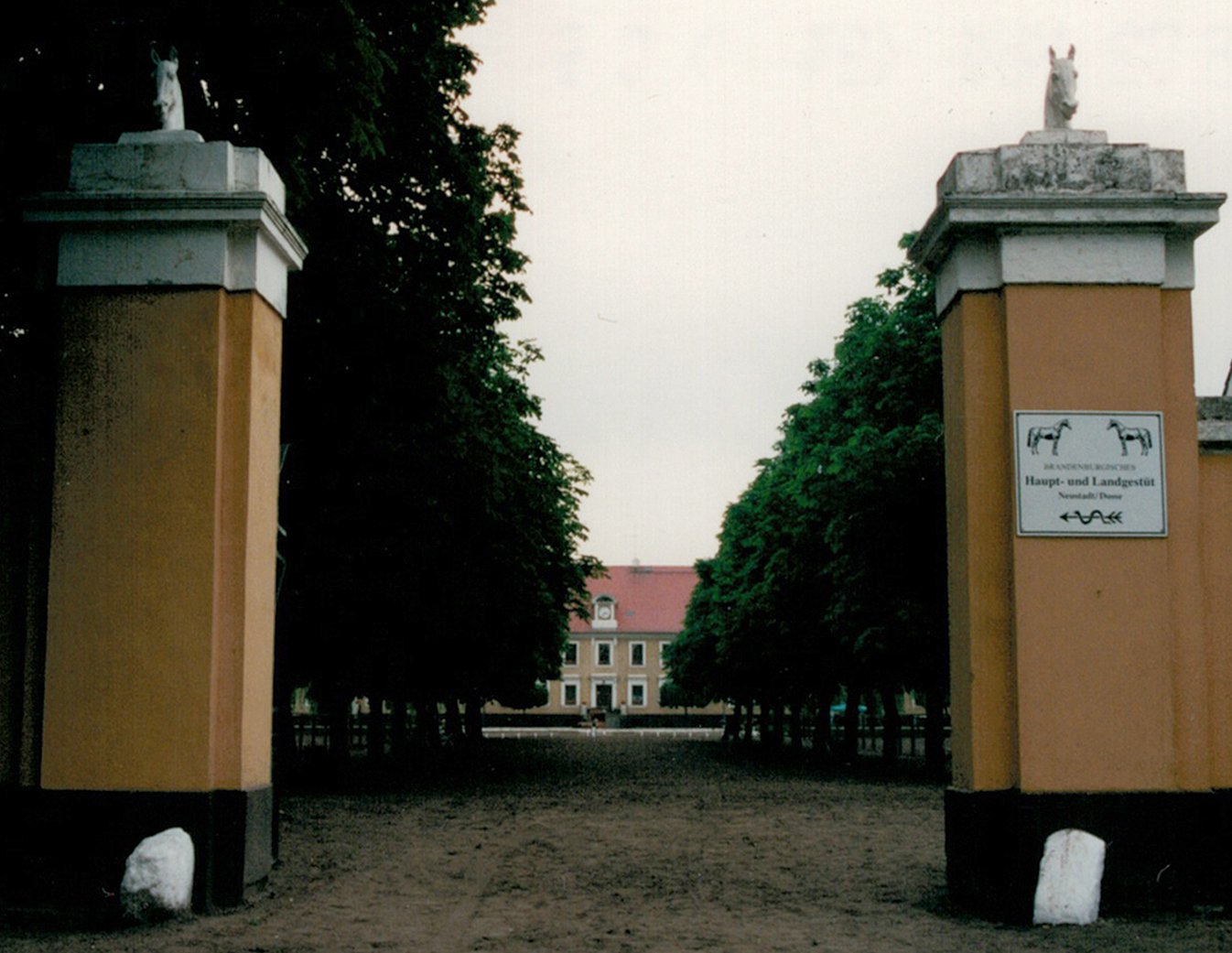 Nationales Championat des VZAP im Haupt- und Landgestüt Neustadt-Dosse 1999