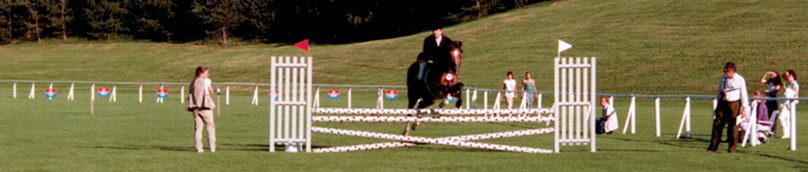 Shagya-Araber Schauen damals: 1. Europäisches Schau-Championat der Internationalen Shagya-Araber Gesellschaft.